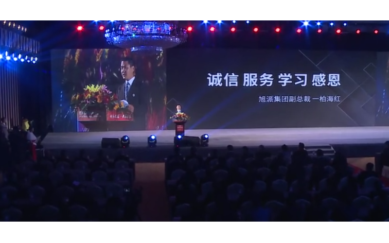 旭派電池2016年代理商大會(huì)柏海紅精彩演講